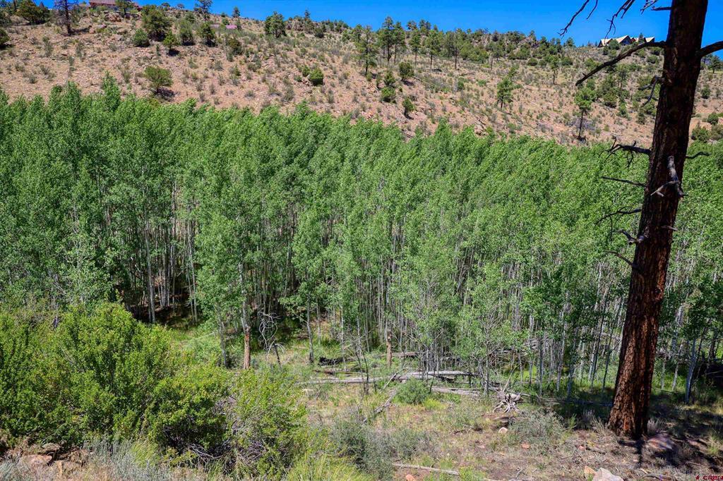 302 Rickel Circle South Fork CO 81154