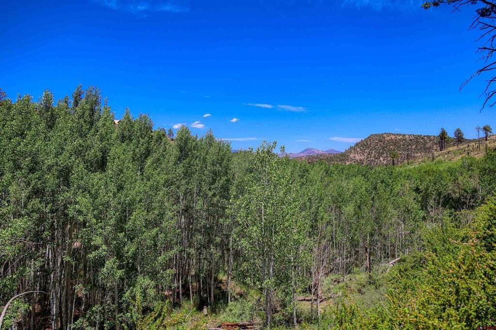302 Rickel Circle South Fork CO 81154