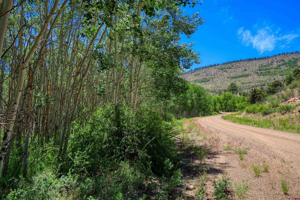 302 Rickel Circle South Fork CO 81154