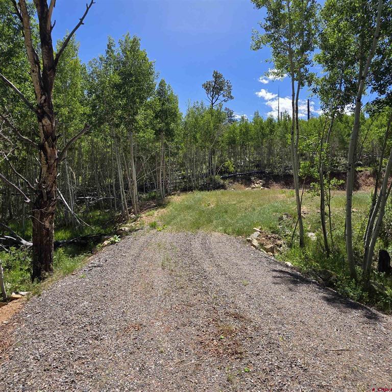 302 Rickel Circle South Fork CO 81154