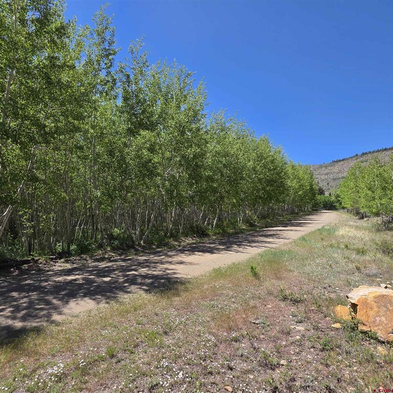302 Rickel Circle South Fork CO 81154