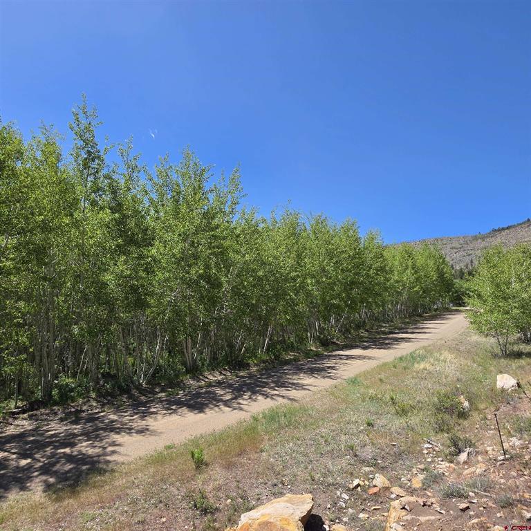 302 Rickel Circle South Fork CO 81154