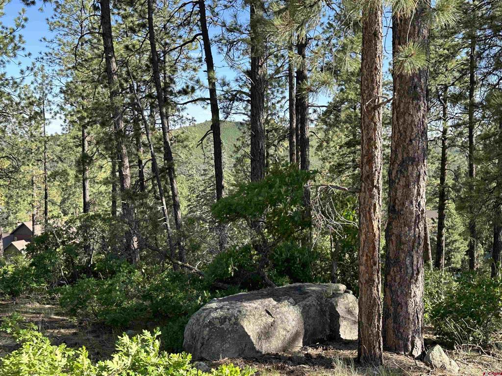 72 Cabin Creek Drive Durango CO 81301