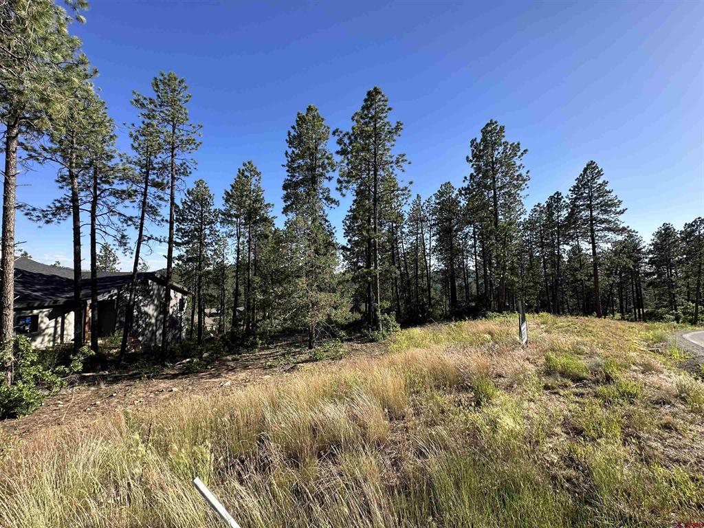 72 Cabin Creek Drive Durango CO 81301