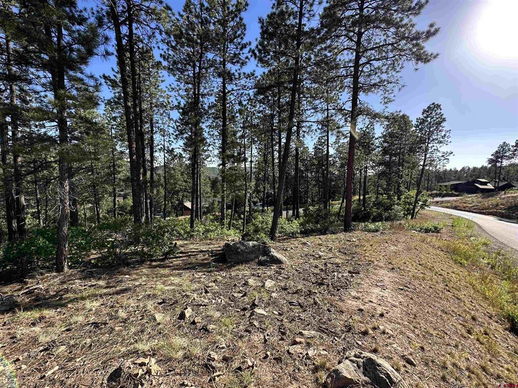 72 Cabin Creek Drive Durango CO 81301