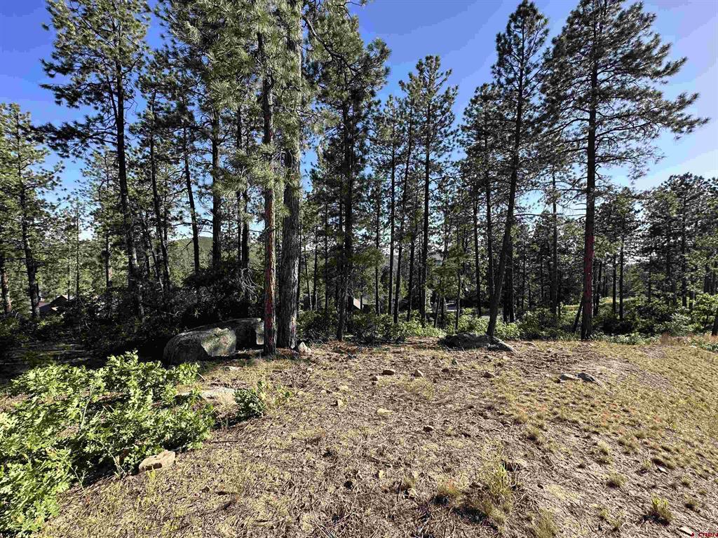72 Cabin Creek Drive Durango CO 81301