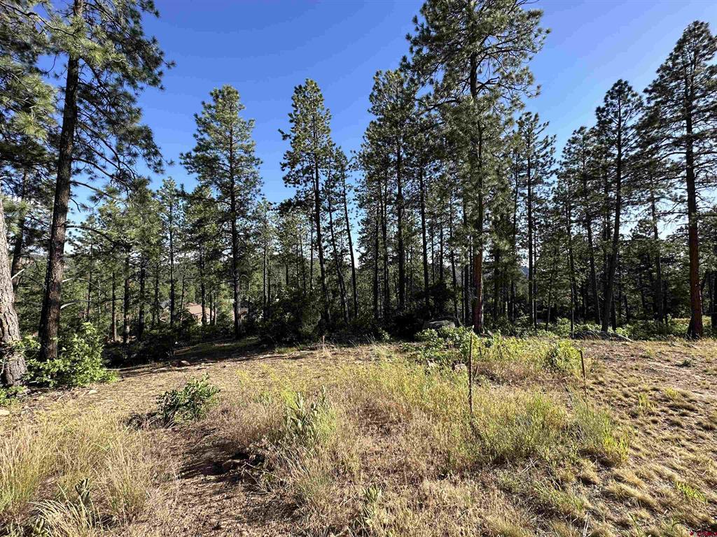 72 Cabin Creek Drive Durango CO 81301
