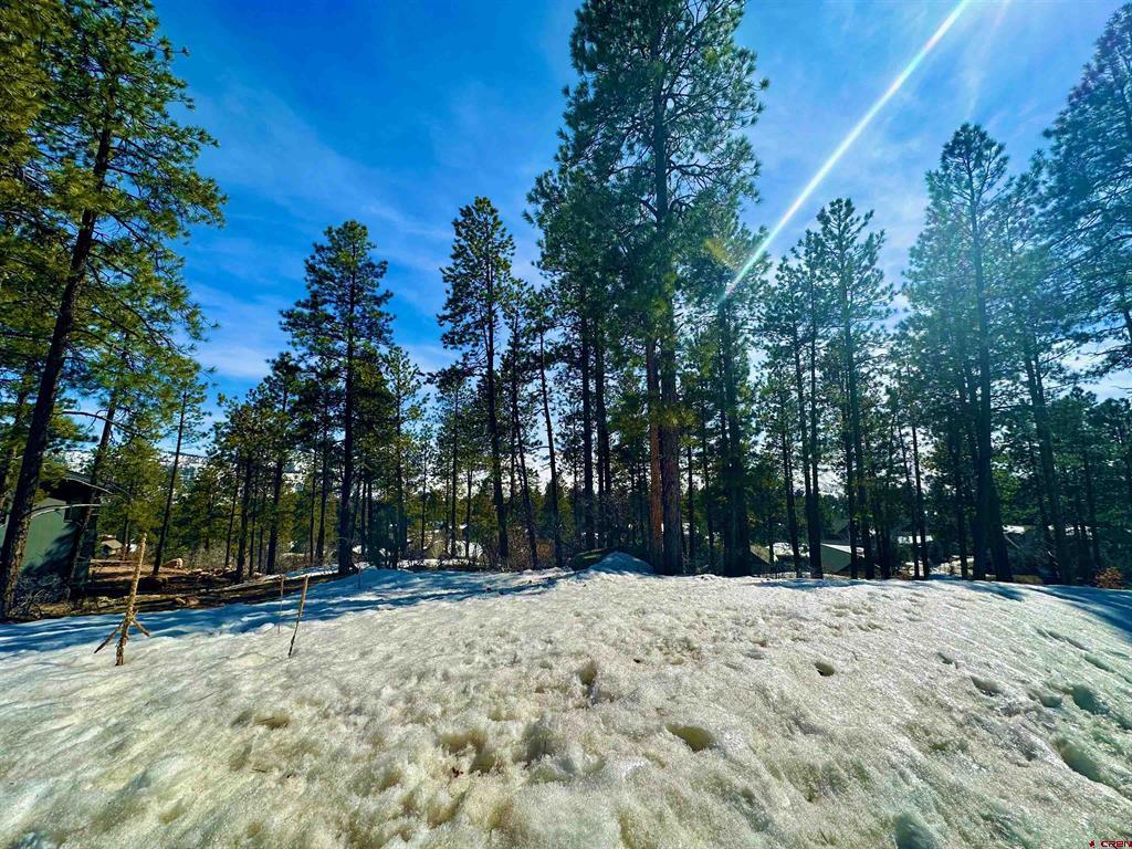 72 Cabin Creek Drive Durango CO 81301