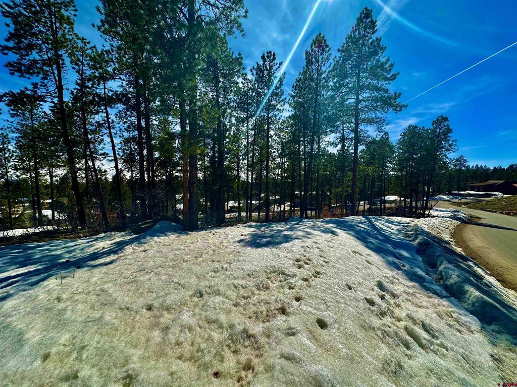 72 Cabin Creek Drive Durango CO 81301