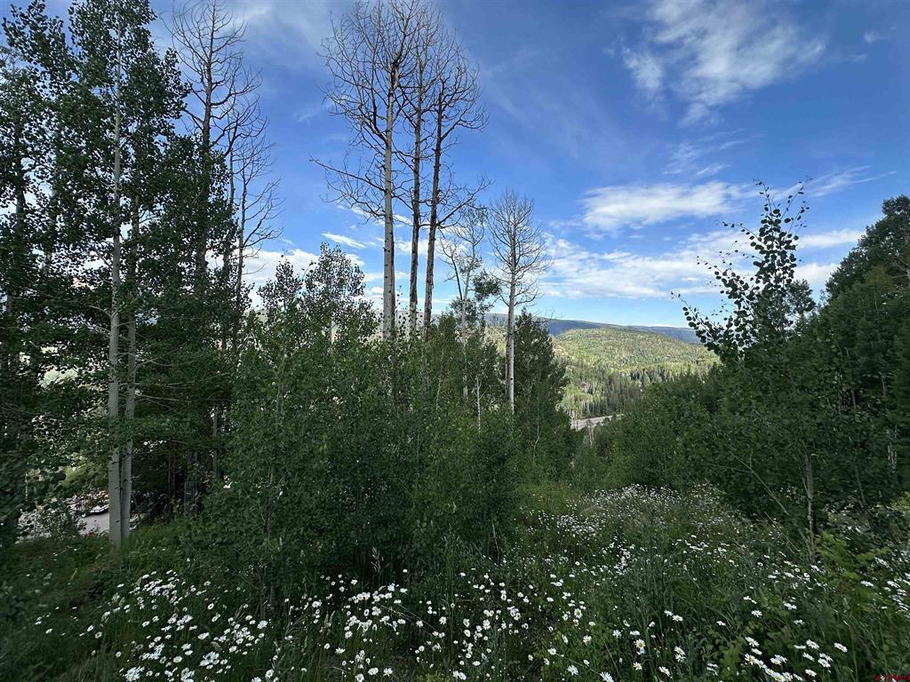 162 Double Diamond Drive Durango CO 81301