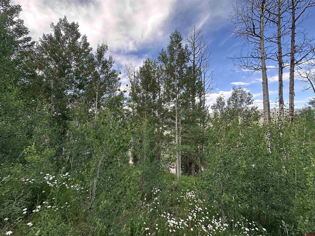 162 Double Diamond Drive Durango CO 81301