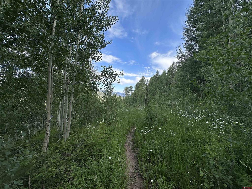 162 Double Diamond Drive Durango CO 81301
