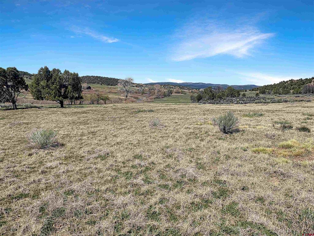231 Bareback Lane Durango CO 81303