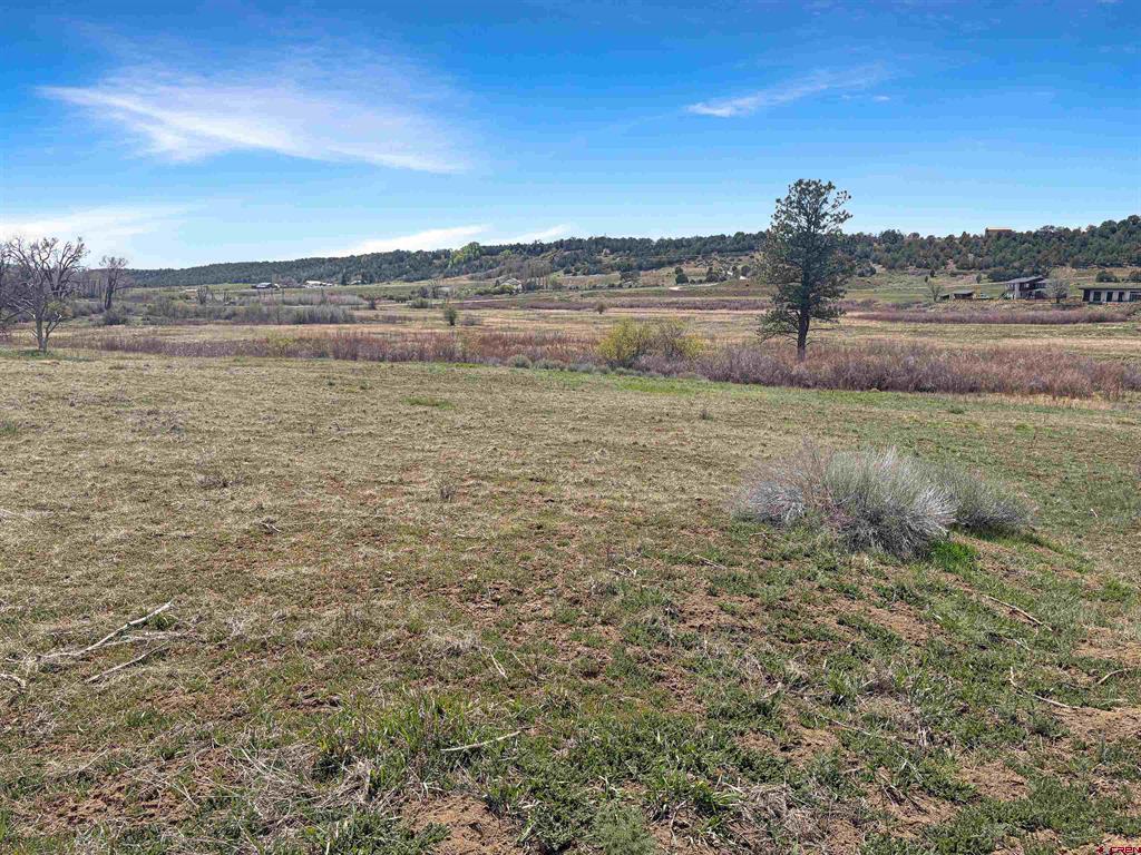 231 Bareback Lane Durango CO 81303