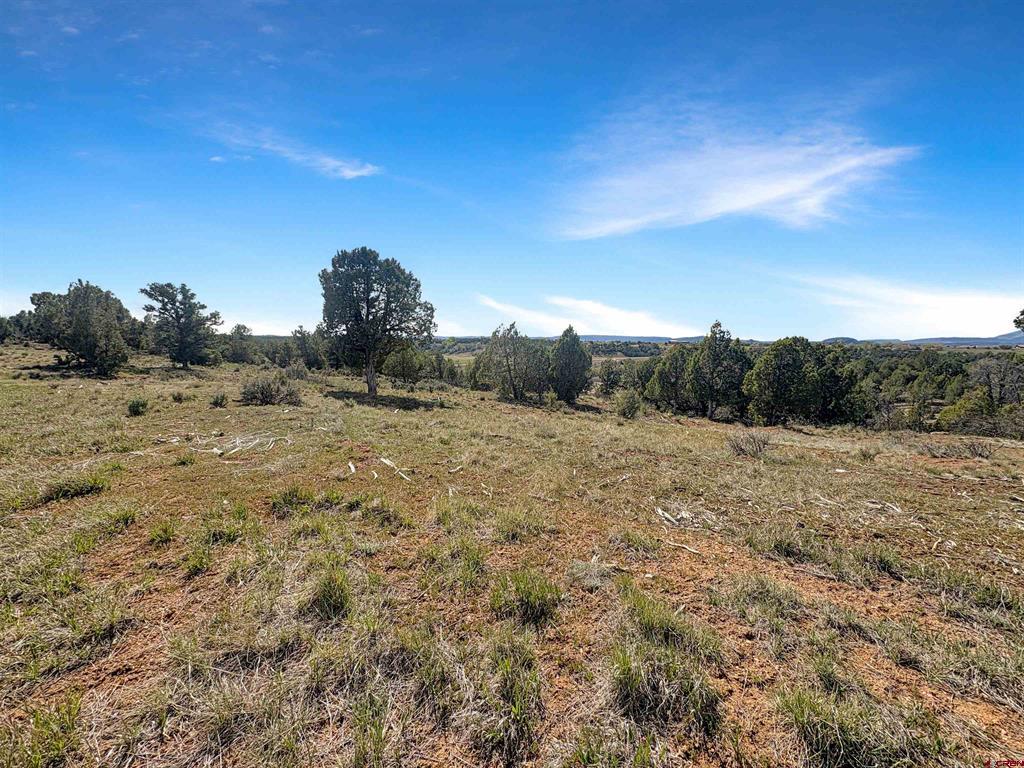 231 Bareback Lane Durango CO 81303