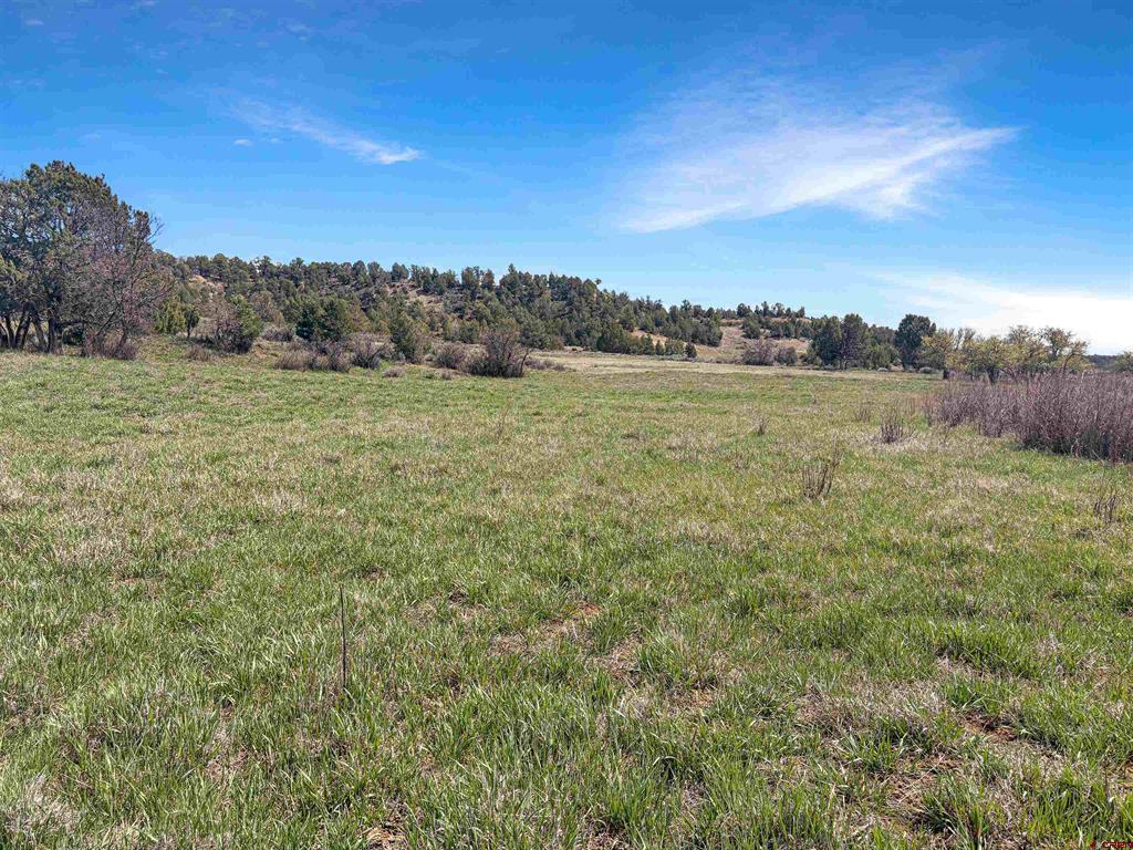231 Bareback Lane Durango CO 81303