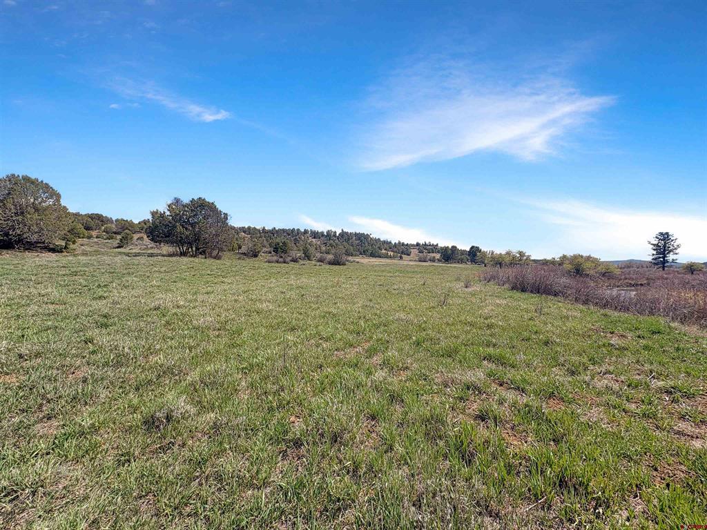 231 Bareback Lane Durango CO 81303