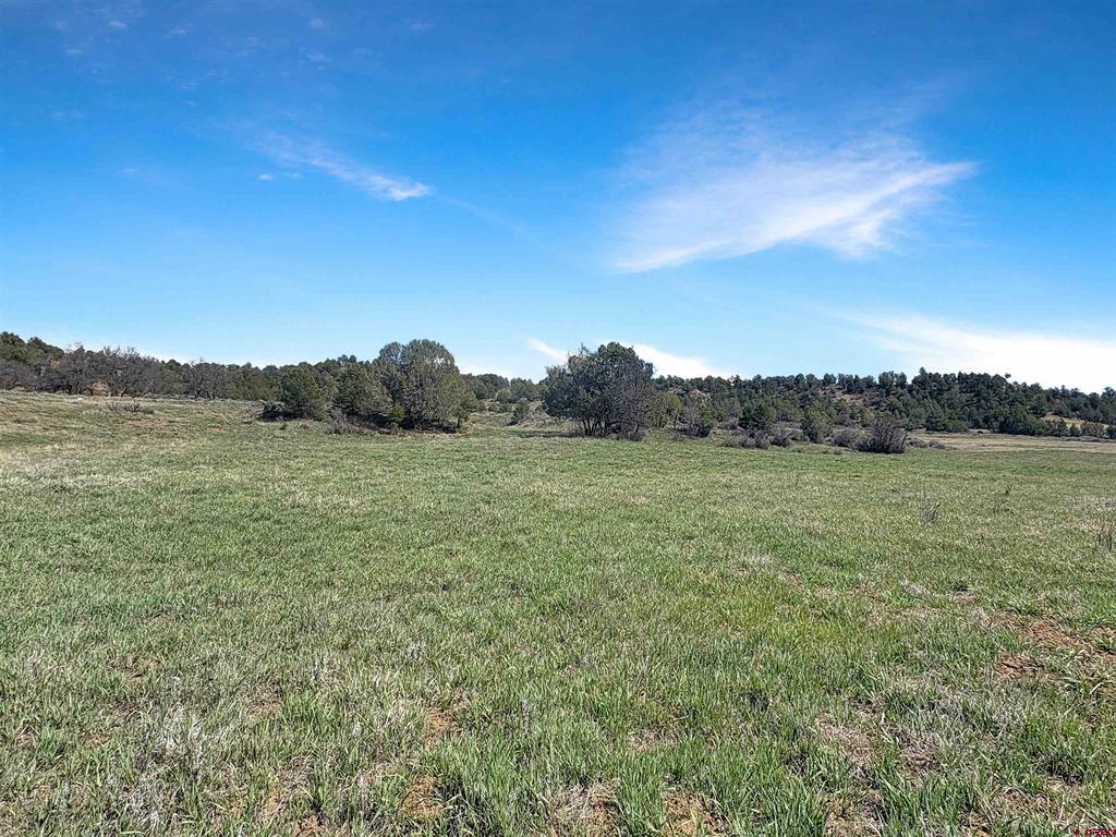 231 Bareback Lane Durango CO 81303
