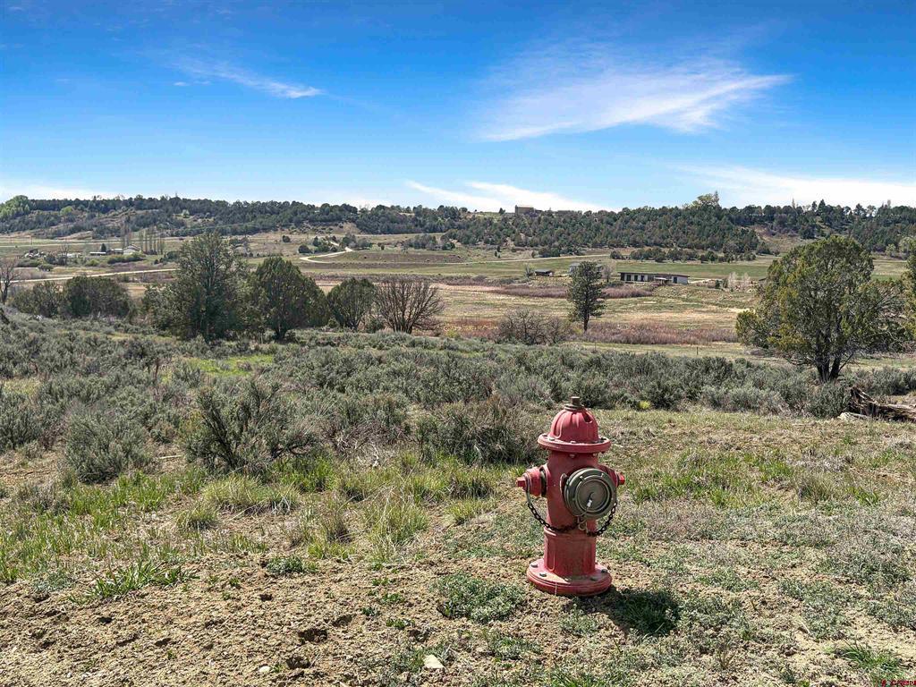 231 Bareback Lane Durango CO 81303