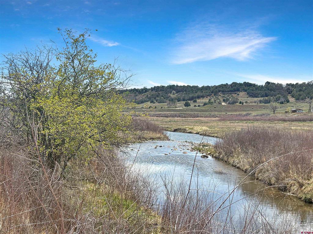 231 Bareback Lane Durango CO 81303