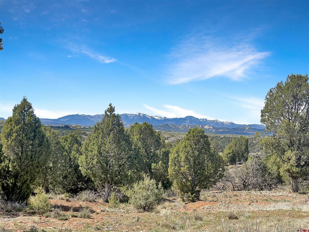 231 Bareback Lane Durango CO 81303