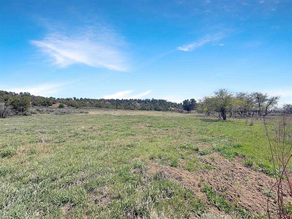 231 Bareback Lane Durango CO 81303