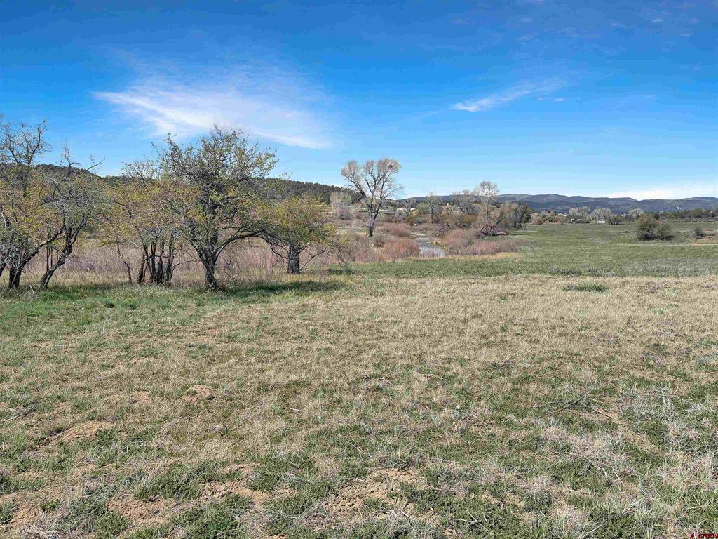 231 Bareback Lane Durango CO 81303