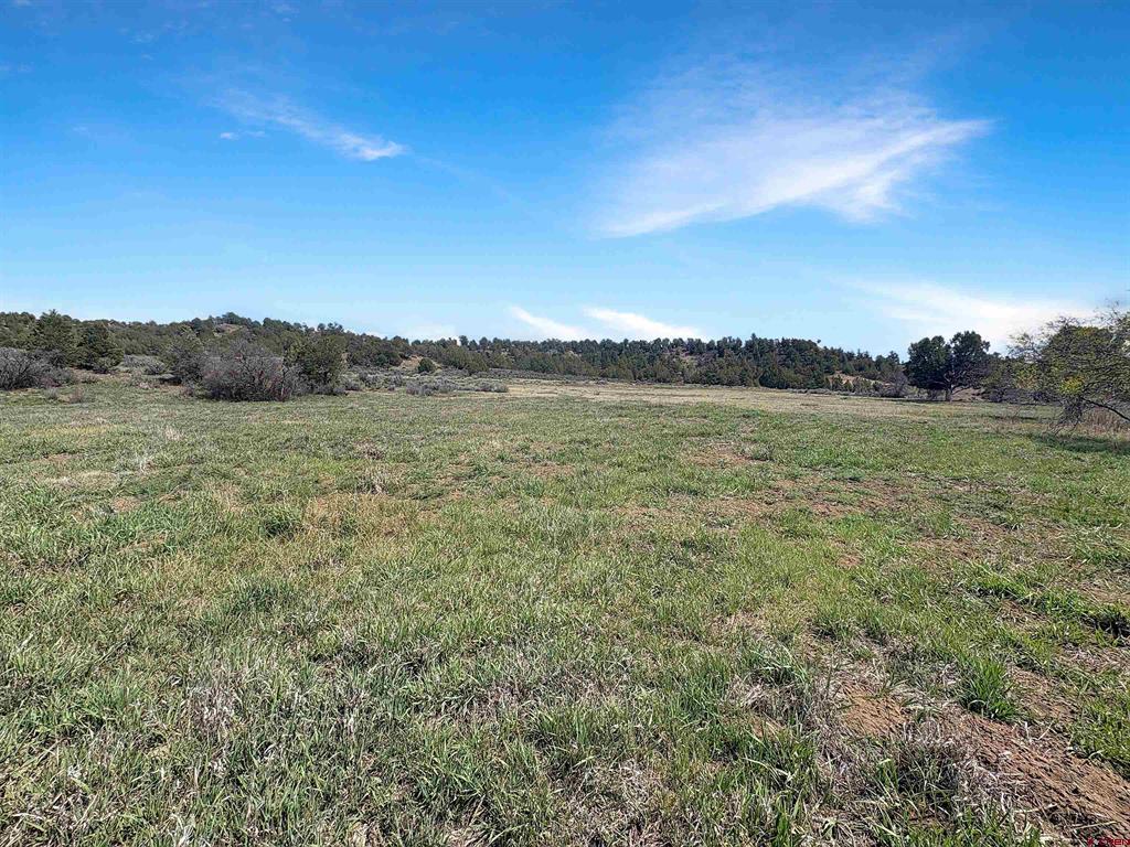 231 Bareback Lane Durango CO 81303