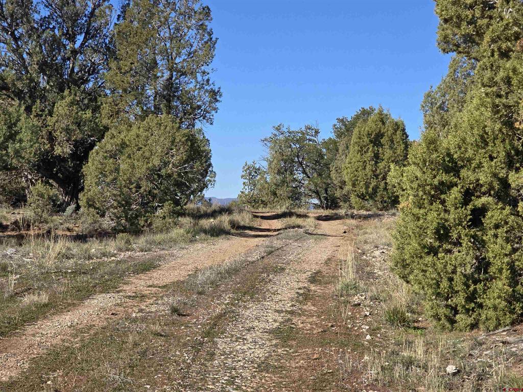 134 Rawhide Road Durango CO 81303