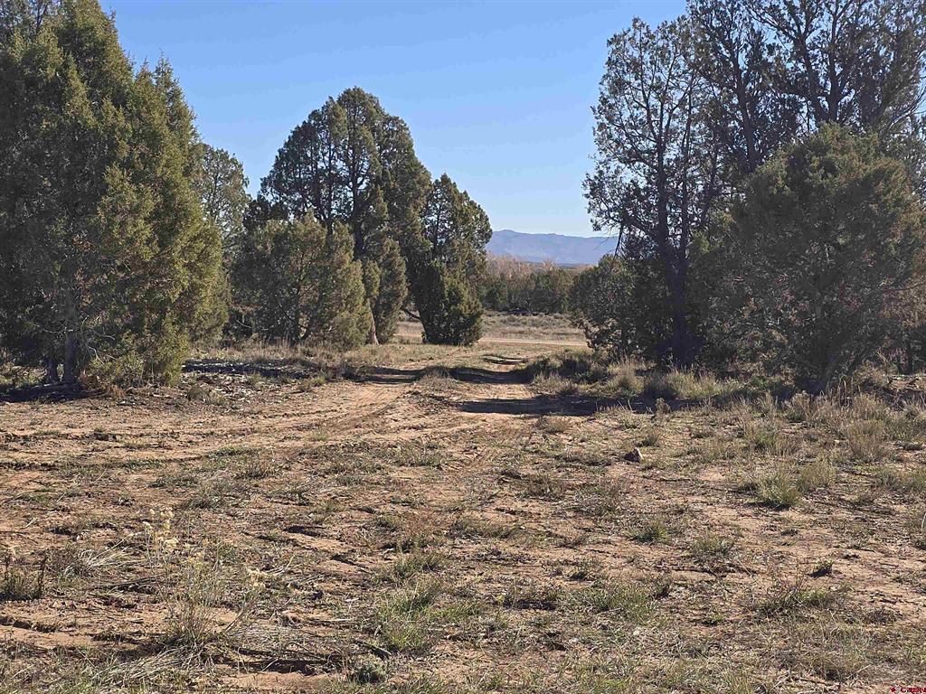 134 Rawhide Road Durango CO 81303