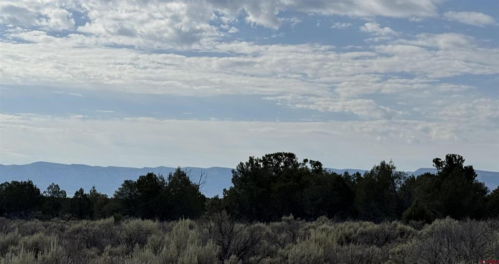 20 N Tbd Road Cortez CO 81321