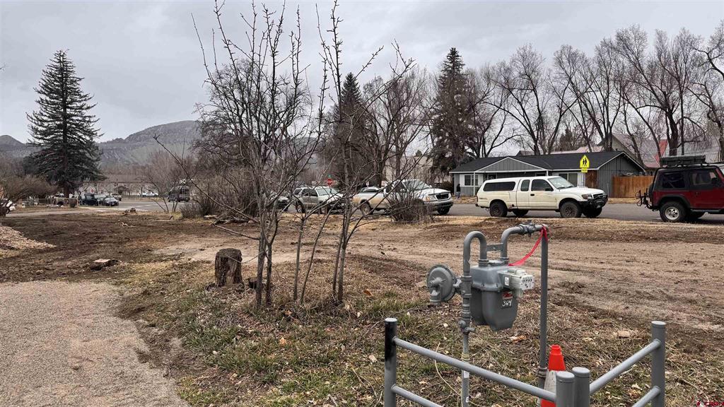 732 E 4th Street Durango CO 81301
