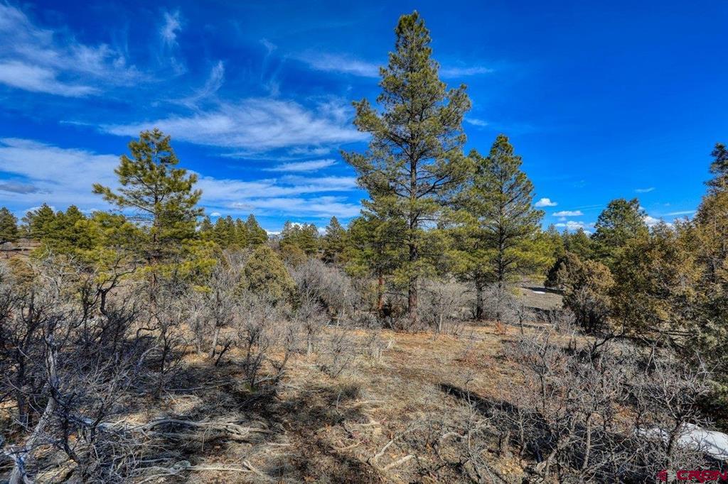 829 Buttress Avenue Pagosa Springs CO 81147