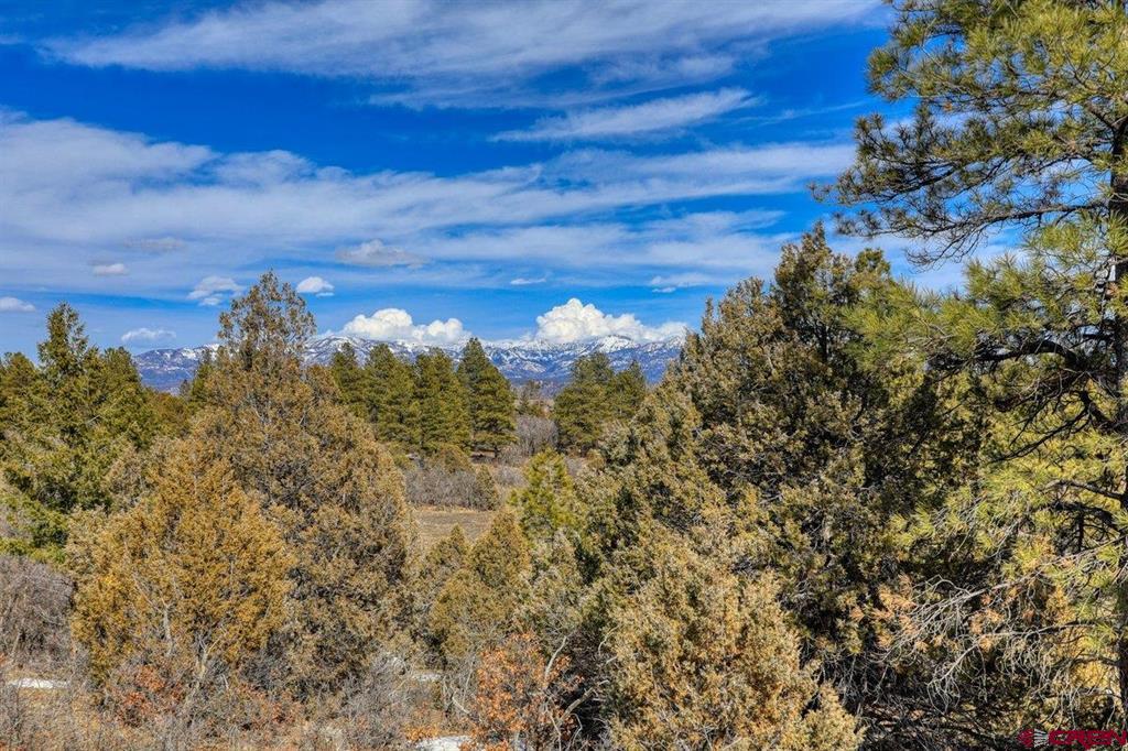 829 Buttress Avenue Pagosa Springs CO 81147