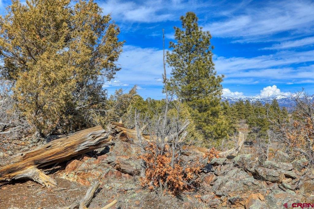 829 Buttress Avenue Pagosa Springs CO 81147