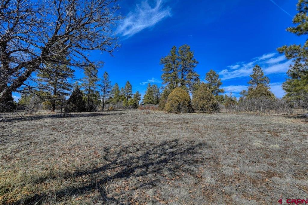 829 Buttress Avenue Pagosa Springs CO 81147