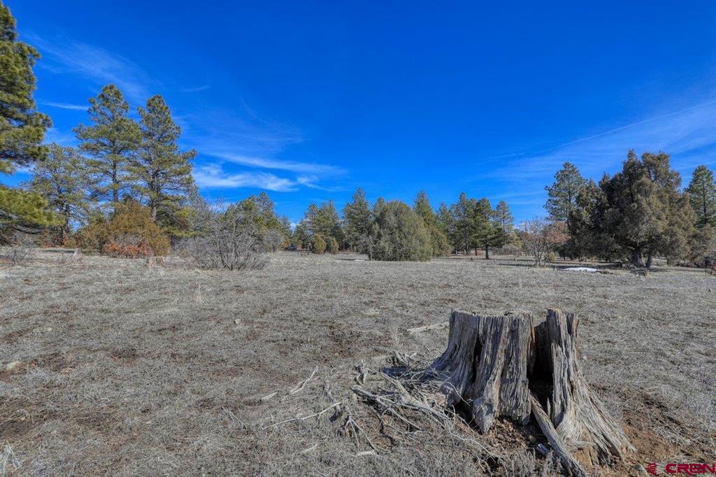 829 Buttress Avenue Pagosa Springs CO 81147