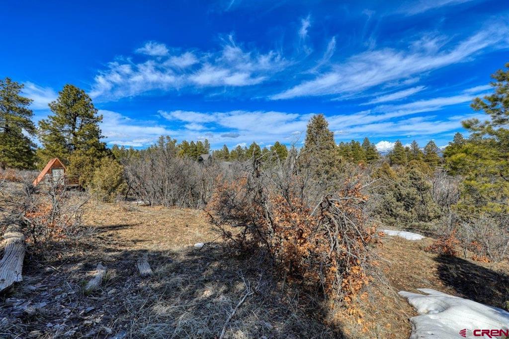 829 Buttress Avenue Pagosa Springs CO 81147