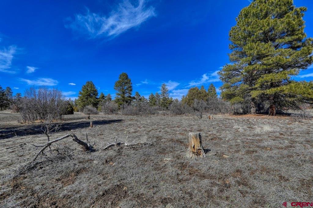 829 Buttress Avenue Pagosa Springs CO 81147