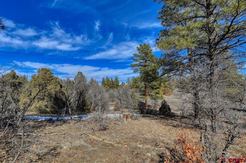 829 Buttress Avenue Pagosa Springs CO 81147