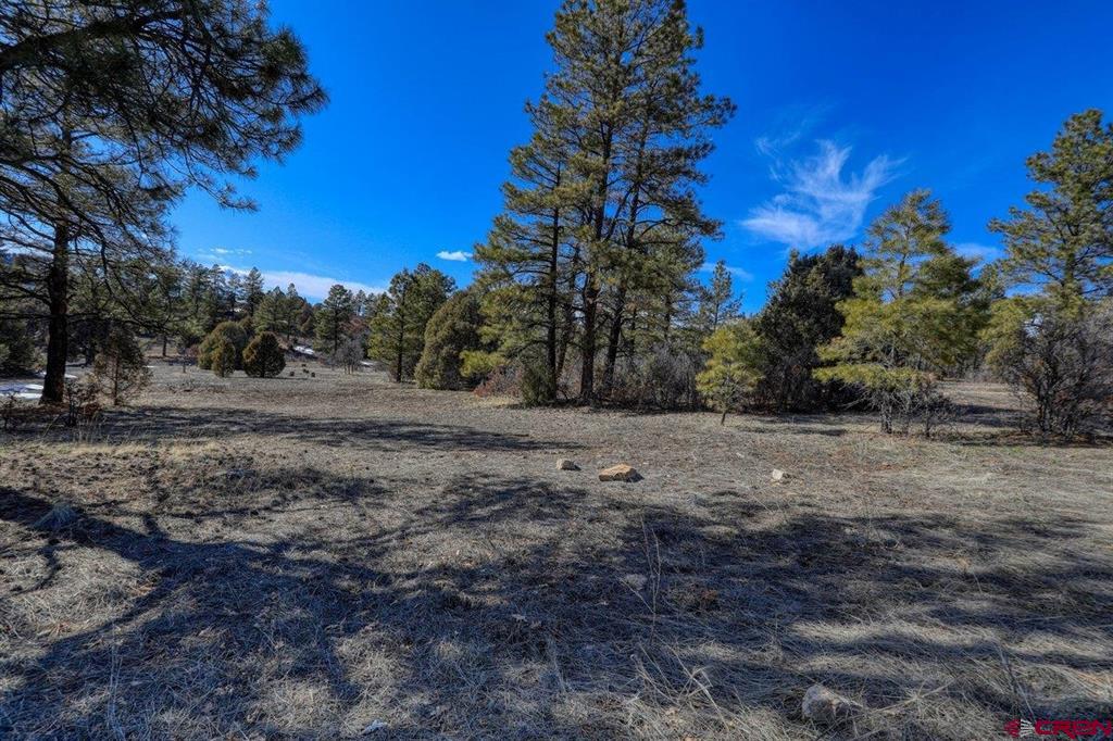 829 Buttress Avenue Pagosa Springs CO 81147