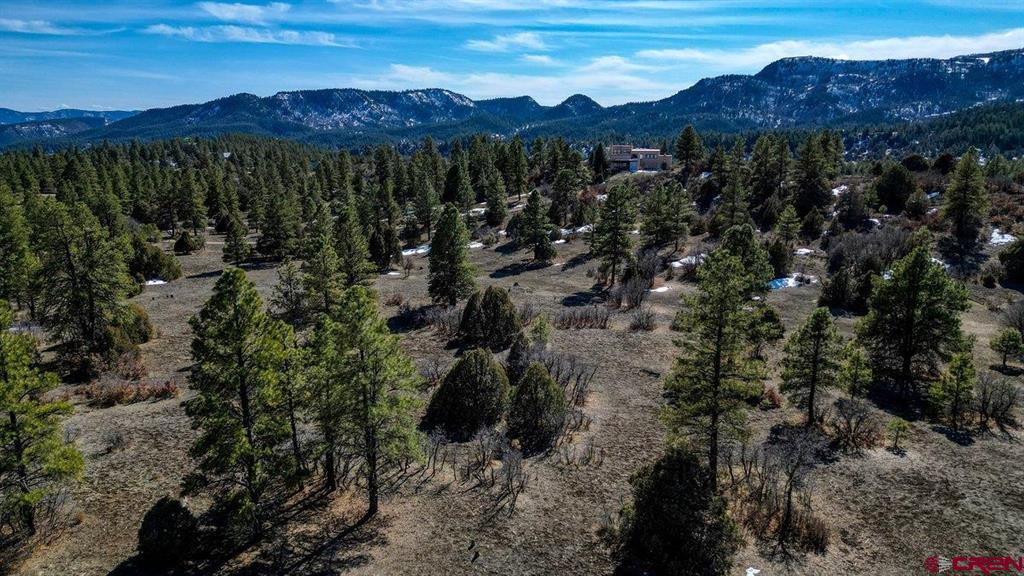 829 Buttress Avenue Pagosa Springs CO 81147