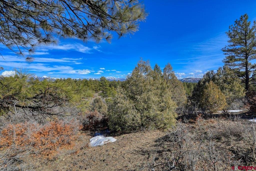 829 Buttress Avenue Pagosa Springs CO 81147