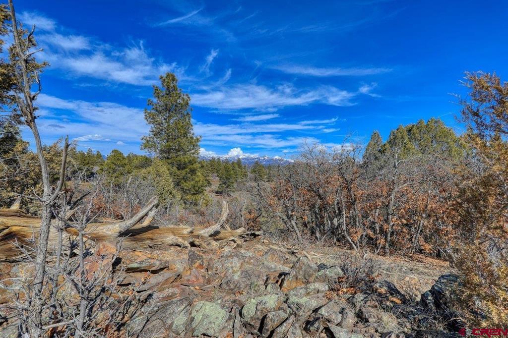 829 Buttress Avenue Pagosa Springs CO 81147