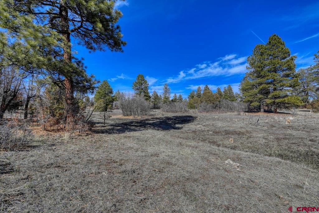 829 Buttress Avenue Pagosa Springs CO 81147