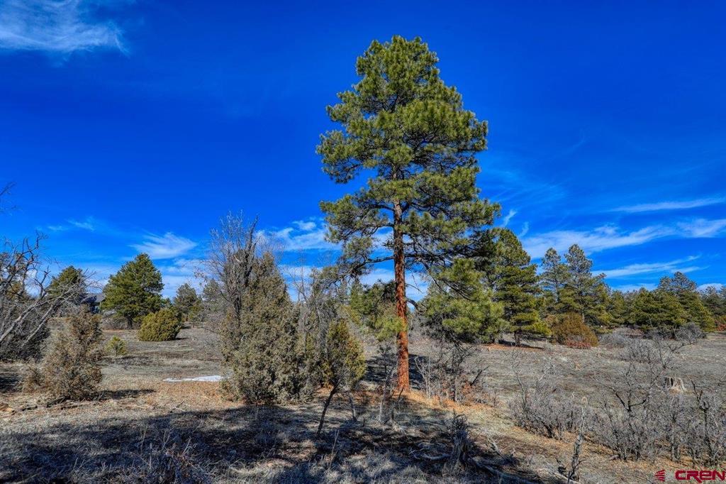 829 Buttress Avenue Pagosa Springs CO 81147