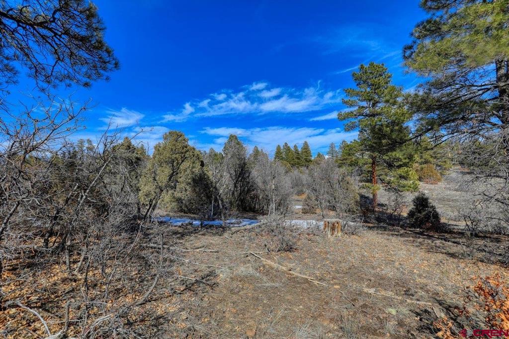 829 Buttress Avenue Pagosa Springs CO 81147