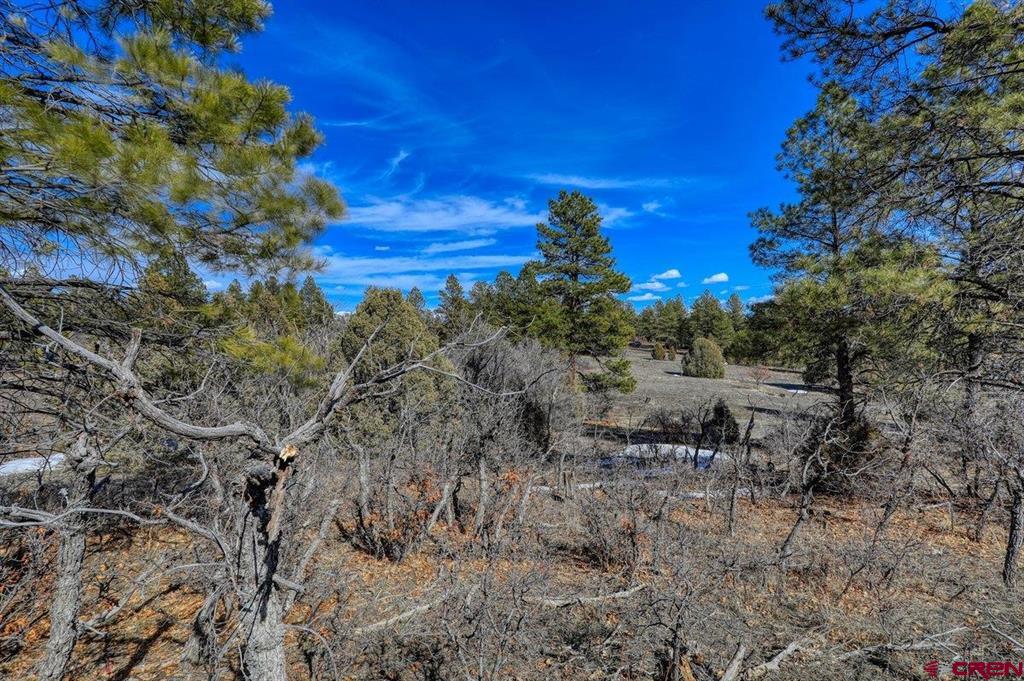 829 Buttress Avenue Pagosa Springs CO 81147
