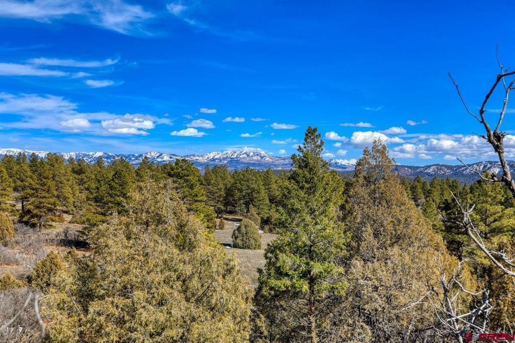 829 Buttress Avenue Pagosa Springs CO 81147