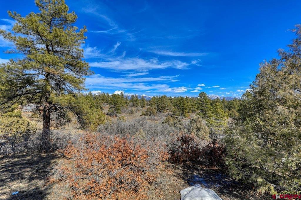 829 Buttress Avenue Pagosa Springs CO 81147